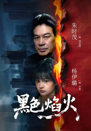 黑色焰火（41集）短剧热播中