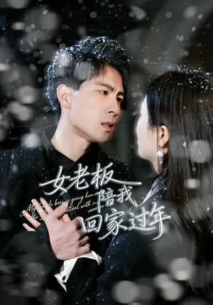 女老板陪我回家过年(40集) 女老板陪我回家过年(40集)热播短剧免费看