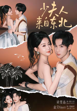 少夫人来自东北(80集) 少夫人来自东北(80集)无需会员免费看