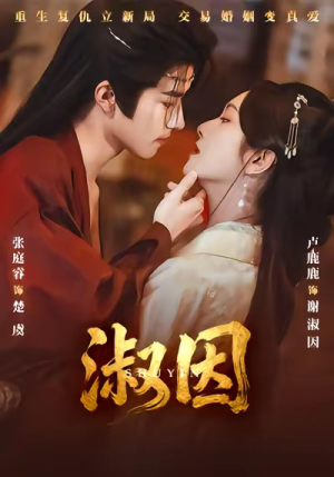 淑因(65集) 淑因(65集)哪个网站可以看