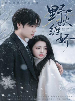 野火缠娇(66集) 野火缠娇(66集)在线看