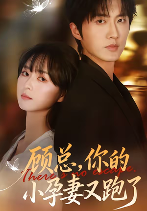 顾总，你的小孕妻又跑了（47集）热播短剧排行榜