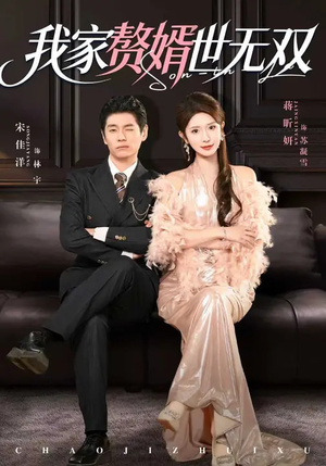 我家赘婿世无双（73集）第32集