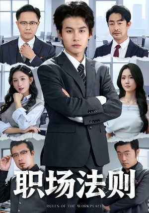 职场法则（79集）全季一次看完