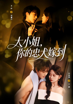 大小姐，你的忠犬嫁到（80集）精彩热门短剧