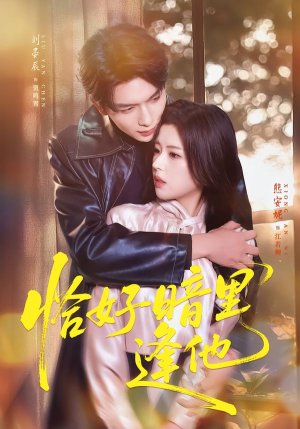 恰好暗里逢他（66集）一共多少集