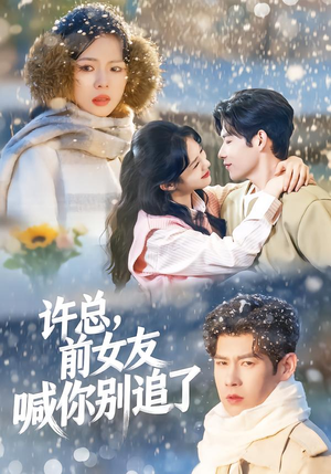 许总，前女友喊你别追了（80集）短剧精彩推荐