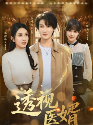 透视医婿（81集）全季一次看完