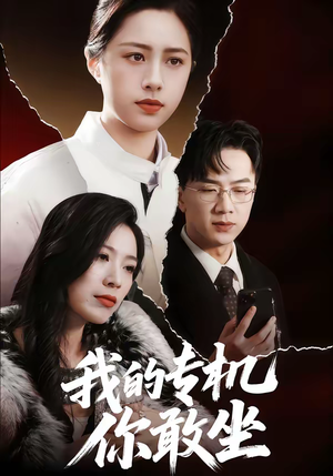 我的专机你敢坐（62集）追短剧关注我