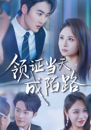 领证当天成陌路（39集）好看吗