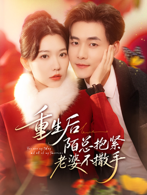 重生后陌总抱紧老婆不撒手(66集) 重生后陌总抱紧老婆不撒手(66集)穿越短剧推荐