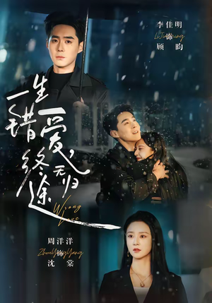 一生错爱，终无归途（74集）大结局完美收官