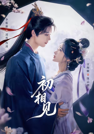 初相见（76集）看精彩短剧
