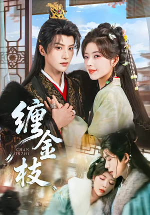 缠金枝（69集）好看上头短剧