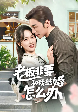 老板非要和我结婚怎么办（50集）一口气追完全集