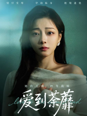 爱到荼蘼(63集) 爱到荼蘼(63集)全集都在这里了