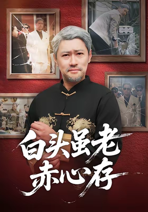 白头虽老赤心存（71集）精彩短剧看不停