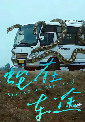 蛇在车途（34集）短剧分享片段