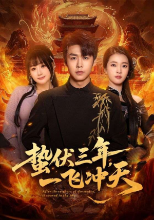 蛰伏三年，一飞冲天（60集）短剧精彩不断