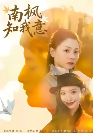 南枫知我意（41集）分享热门短剧