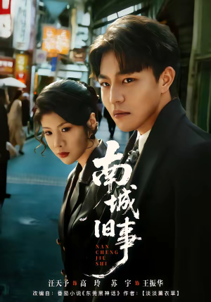 南城旧事（80集）抢先看新短剧