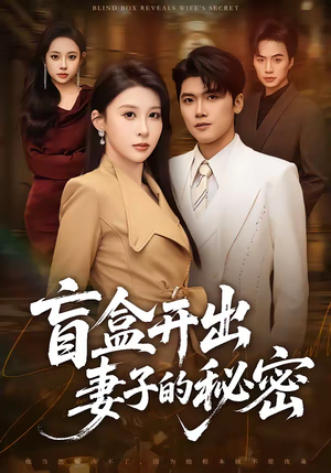 盲盒开出妻子的秘密（40集）全集一网打尽