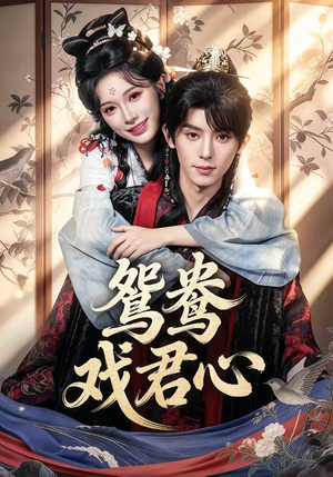 鸳鸯戏君心（60集）短剧热播中