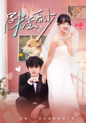 忠犬变恶少（80集）短剧看全集