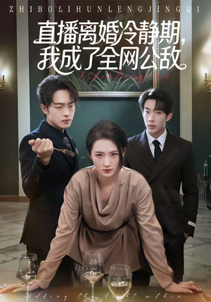 直播离婚冷静期，我成了全网公敌（70集）无需会员轻松看