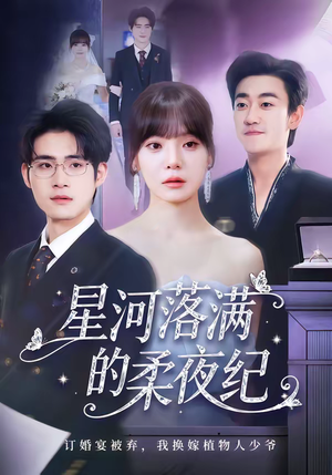 星河落满的柔夜纪（88集）热门短剧来袭