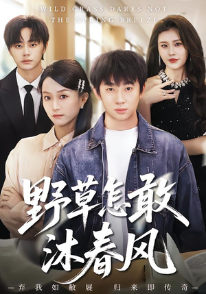 野草怎敢沐春风（61集）热门短剧追不停