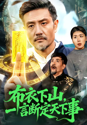 布衣下山，一言断定天下事（90集）全集我都看完了