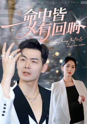 命中皆有回响（62集）直接看到大结局