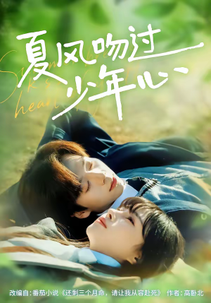 夏风吻过少年心（76集）高分推荐免费看