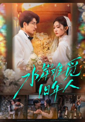 水岸难觅旧年人（68集）海量短剧免费看