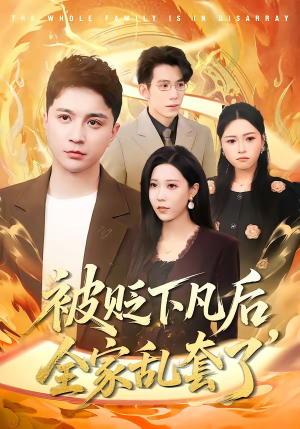 被贬下凡后全家乱套了（88集）热门短剧又来了