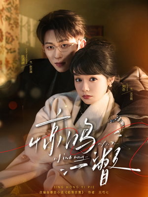 惊鸿一瞥（72集）免费看