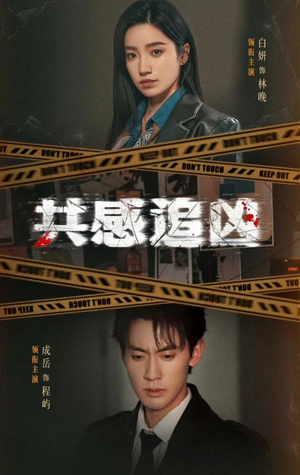 共感追凶（60集）评价怎么样
