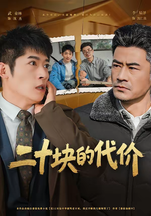 二十块的代价（64集）热播短剧推荐