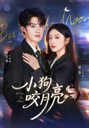 小狗咬月亮(66集) 小狗咬月亮(66集)百度在线观看