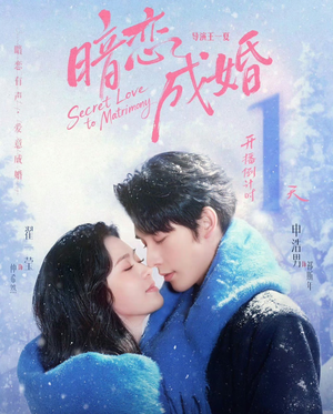 暗恋成婚（60集）精彩短剧看全集