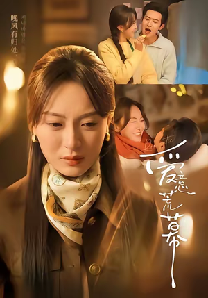 爱意荒幕（70集）一起追短剧