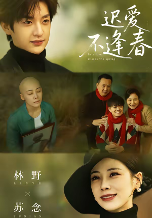 迟爱不逢春（62集）短剧后续更精彩