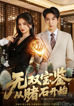 无双宝鉴，从赌石开始（70集）去哪里看