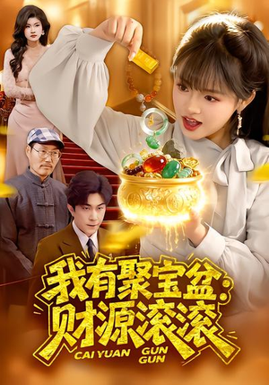 我有聚宝盆：财源滚滚（101集）精彩好看的短剧