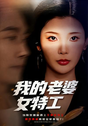 我的老婆女特工（62集）全集免费观看