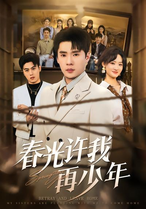 春光许我再少年（79集）剧情简介