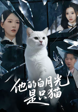 他的白月光是只猫（69集）热门短剧推荐。