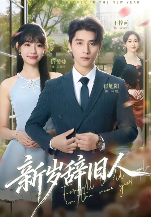 新岁辞旧人（76集）免费看