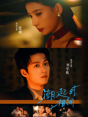 潮起时相拥（73集）第二季